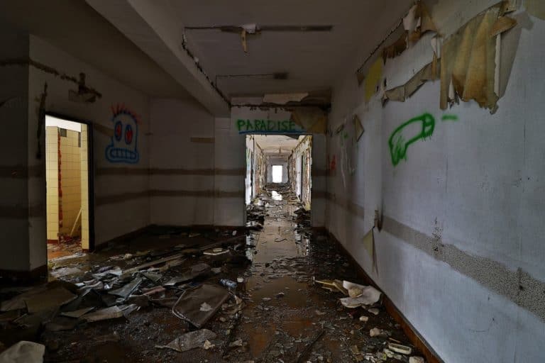 Okfens, Czeladź, województwo śląskie - zdjęcie 2