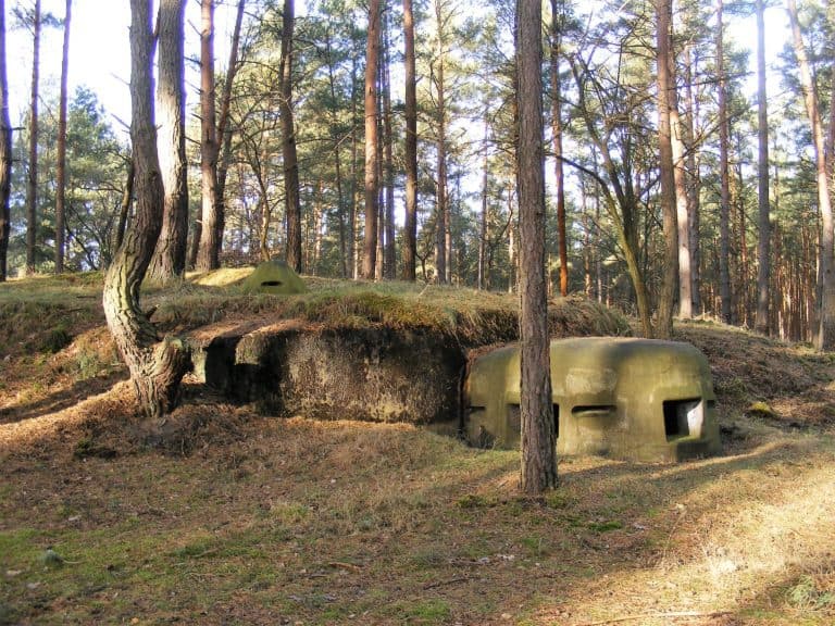 PZ.W.598 (MRU), Bródki, województwo lubuskie - zdjęcie 5
