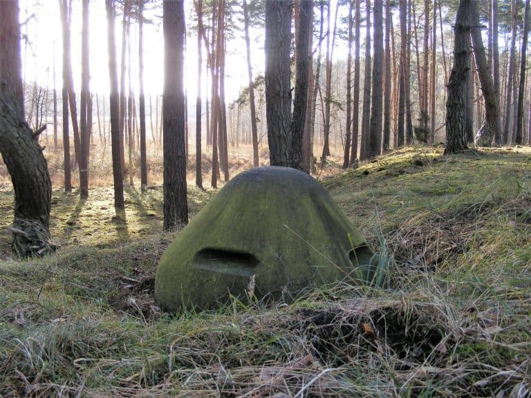 PZ.W.598 (MRU), Bródki, województwo lubuskie - zdjęcie 1