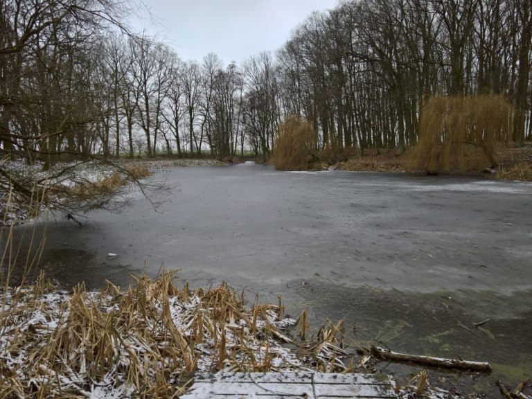 Dwór Mieczkowskich, Niedźwiedź, województwo kujawsko-pomorskie - relacja z 01.2019, zdjęcie 7