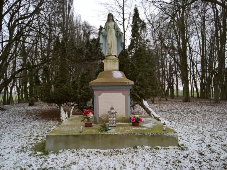 Dwór Mieczkowskich, Niedźwiedź, województwo kujawsko-pomorskie - relacja z 01.2019, zdjęcie 3