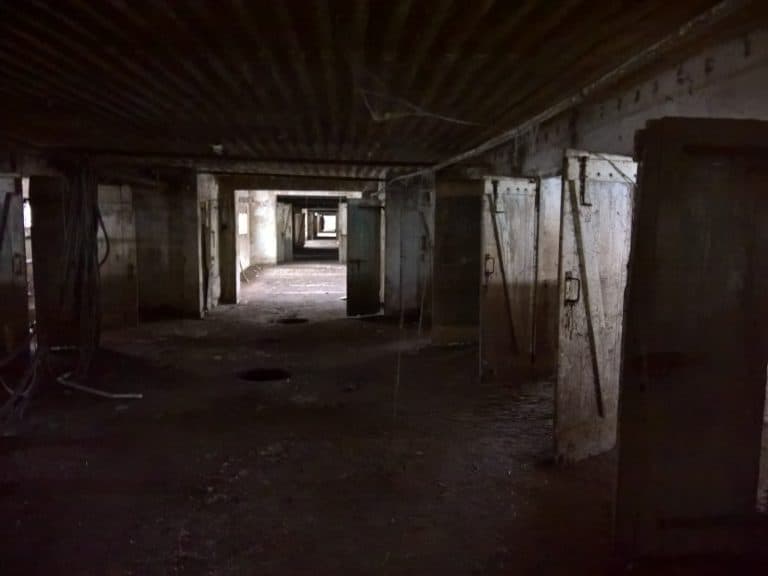 Tuczarnia trzody chlewnej, Mileszewy, województwo kujawsko-pomorskie - relacja z 01.2019, zdjęcie 4
