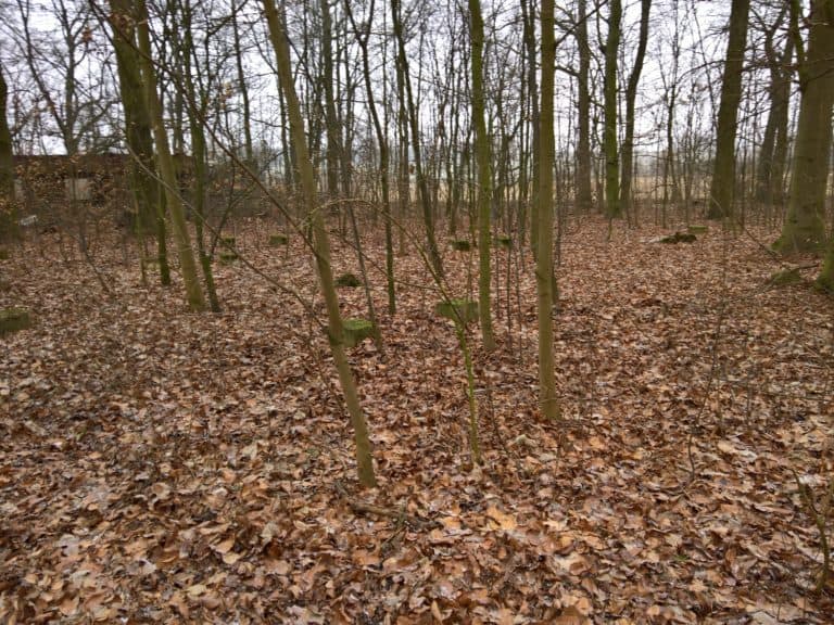 Ośrodek wypoczynkowy (?), Lulkowo, województwo kujawsko-pomorskie - zdjęcie 6
