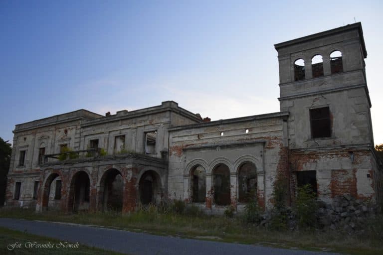 Pałac Wierzbie, Wierzbie-Folwark-Parcele, województwo wielkopolskie - zdjęcie z relacji 1