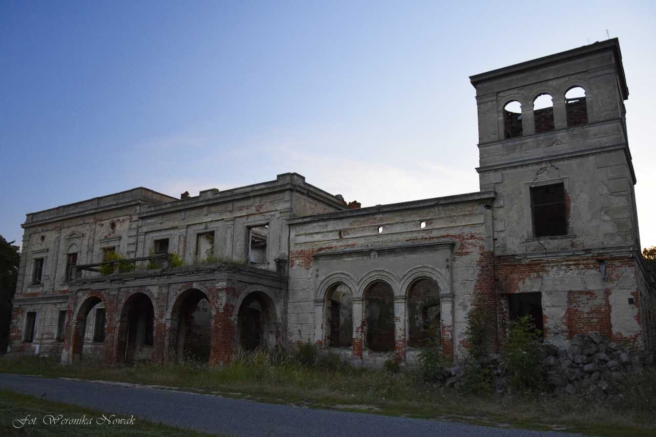 Pałac Wierzbie, Wierzbie-Folwark-Parcele, województwo wielkopolskie