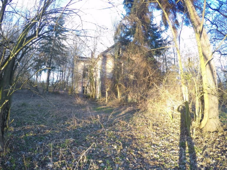 Pałac rodziny von Marwitz, Rudnik, województwo śląskie - relacja z 03.2019, zdjęcie 2