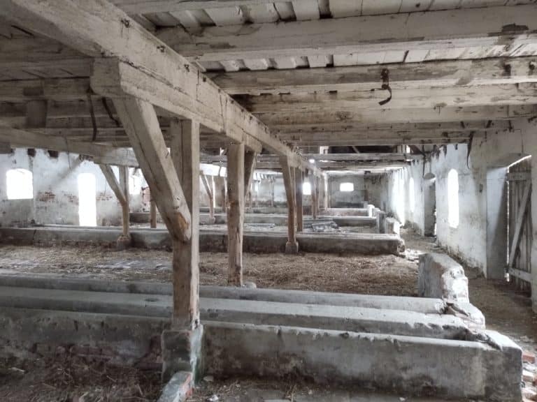 Opuszczone PGRy, Gdańsk, województwo pomorskie - relacja z 03.2019, zdjęcie 4