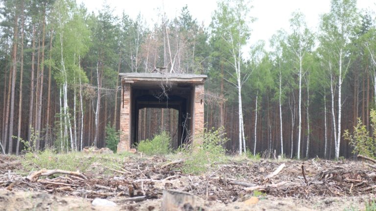 Pozostałości fabryki amunicji Deutsche Sprengchemie w Brożku, Brożek, województwo lubuskie - relacja z 04.2019, zdjęcie 4
