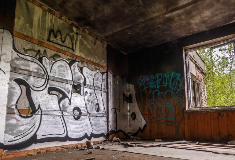 Wielki dom z garażem, Konstancin-Jeziorna, województwo mazowieckie - relacja z 04.2019, zdjęcie 3