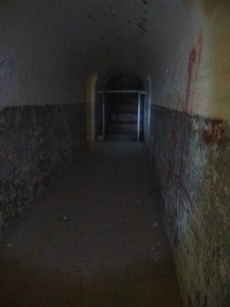 Fort 1 Różan, Różan, województwo mazowieckie - relacja z 08.2017, zdjęcie 3
