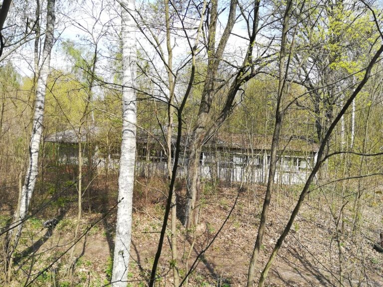 Kolonie w Justynowie, Hulanka, województwo łódzkie - relacja z 04.2019, zdjęcie 1