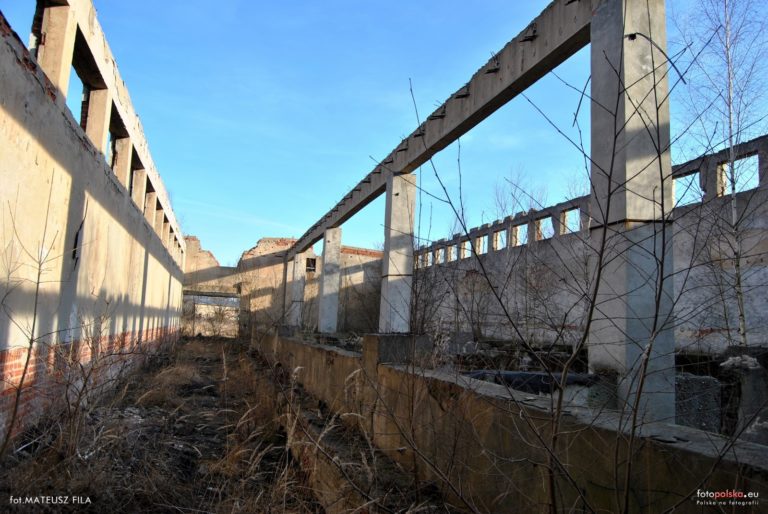 Opolskie Zakłady Przemysłu Lniarskiego Linopłyt, Wołczyn, województwo opolskie - zdjęcie 3