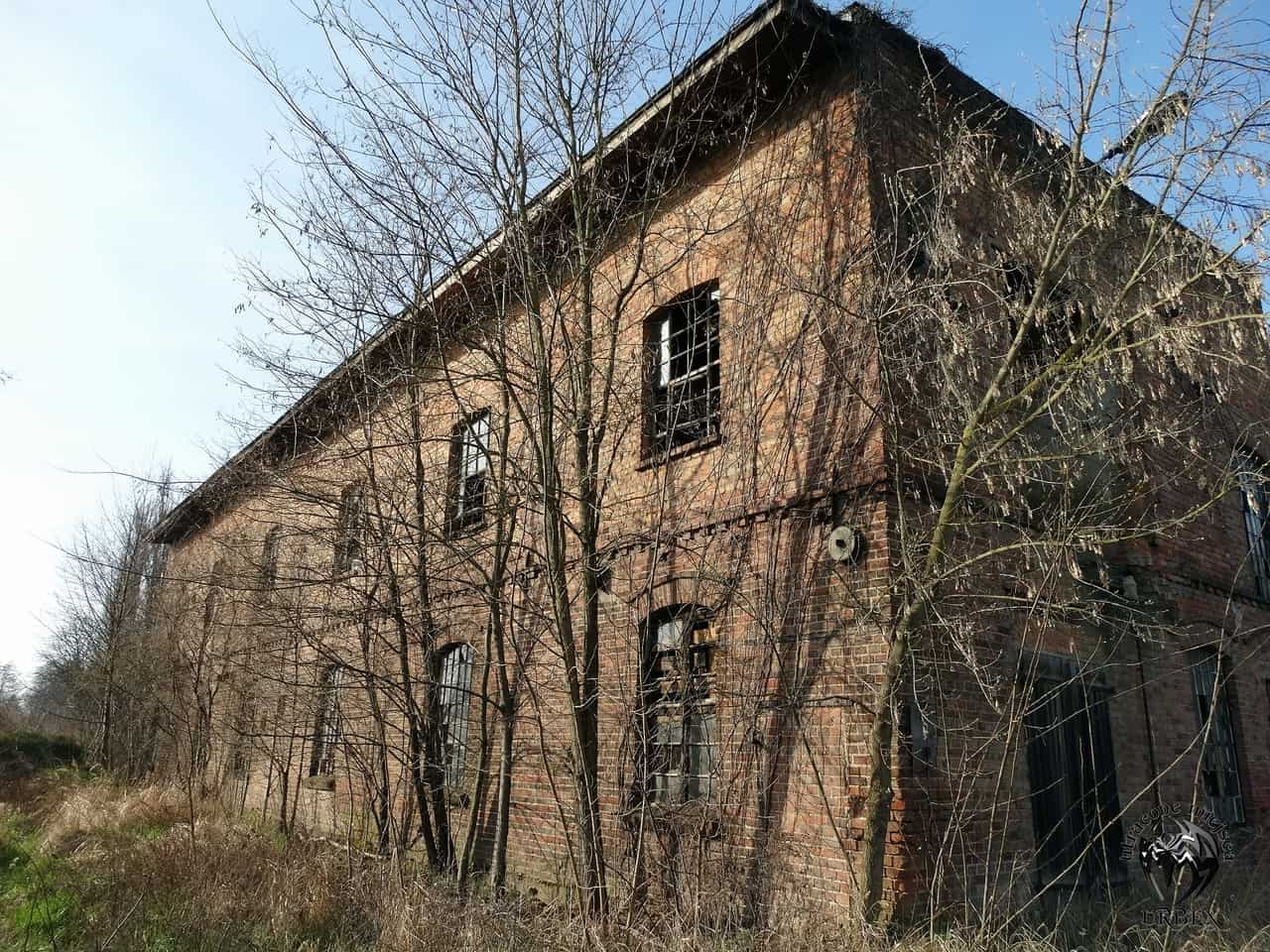 Opuszczona cegielnia w Słonawach, Słonawy, wielkopolskie — zdjęcie 1