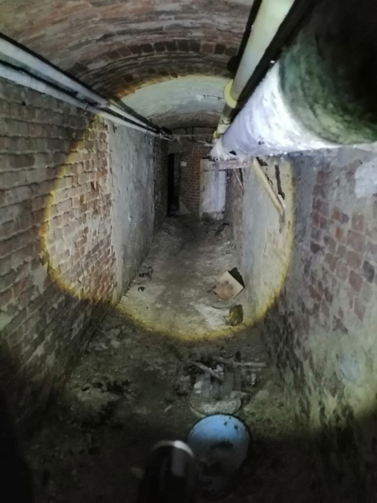 Zespół pałacowy Rzewuskich, Bratoszewice, województwo łódzkie - relacja z 04.2019, zdjęcie 15