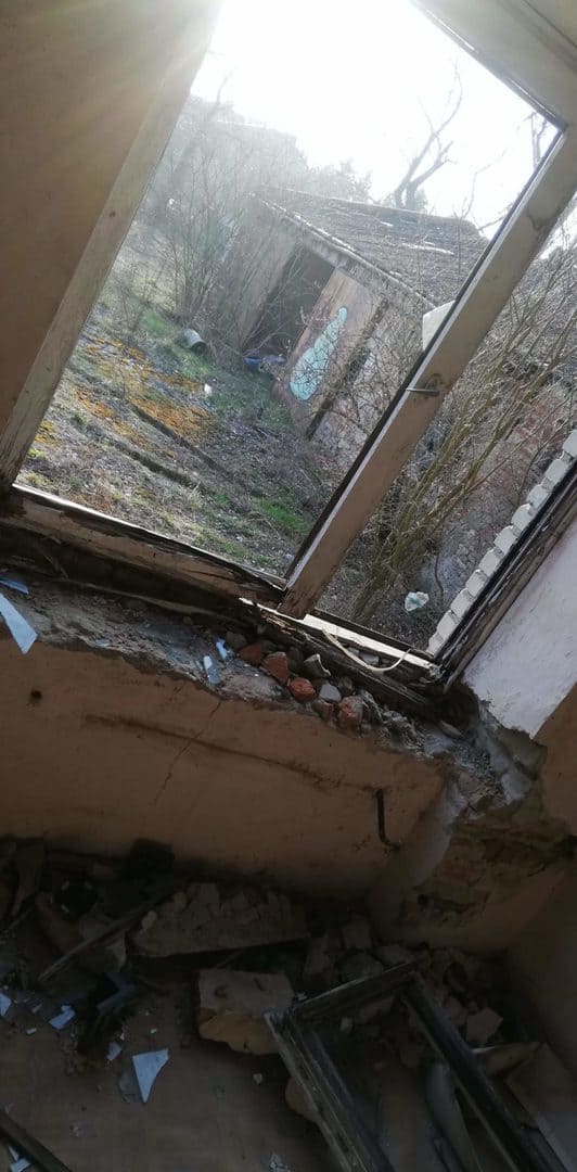 GORZELNIA, Jawidz, województwo lubelskie - zdjęcie 7