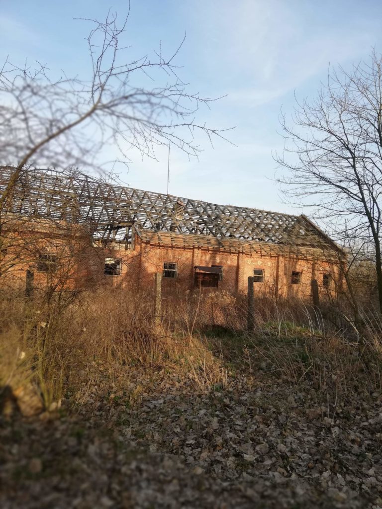 GORZELNIA, Jawidz, województwo lubelskie - zdjęcie 1