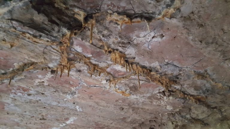 Fort San Rideau, Bolestraszyce, województwo podkarpackie - relacja z 05.2019, zdjęcie 8