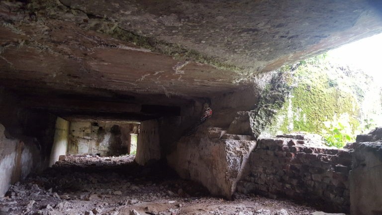 Fort San Rideau, Bolestraszyce, województwo podkarpackie - relacja z 05.2019, zdjęcie 6
