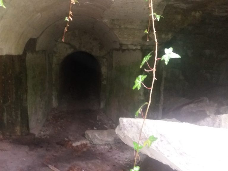 Fort VII, Prałkowce, województwo podkarpackie - zdjęcie 3