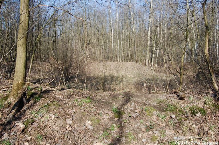Bunkry jednostki rakietowej, Olszowa, województwo opolskie - zdjęcie z relacji 5