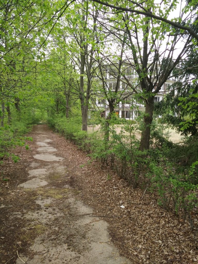Okrąglaki, Miałkówek, województwo mazowieckie - relacja z 05.2019, zdjęcie 20