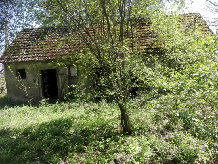 Opuszczona Szkoła, Przyrownica, województwo łódzkie - zdjęcie 2