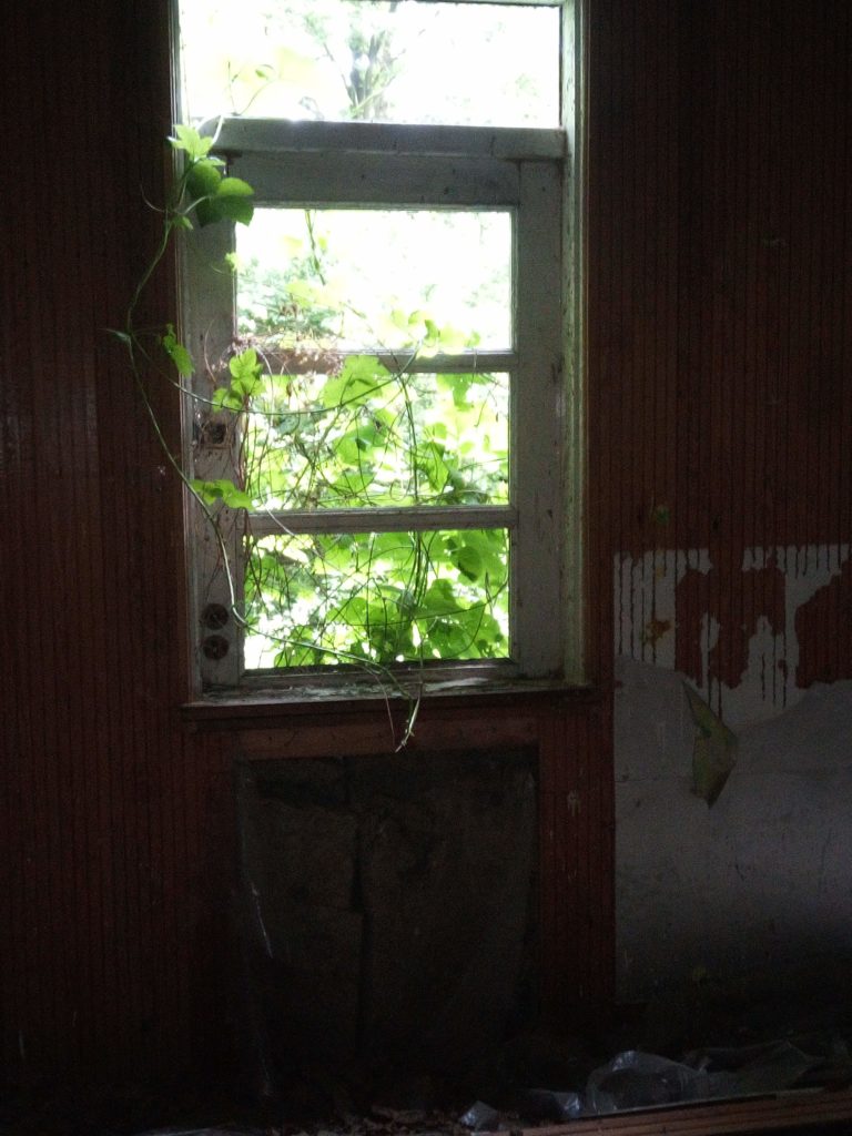 Ośrodek letniskowy, Rogów Wieś, województwo łódzkie - relacja z 06.2019, zdjęcie 2