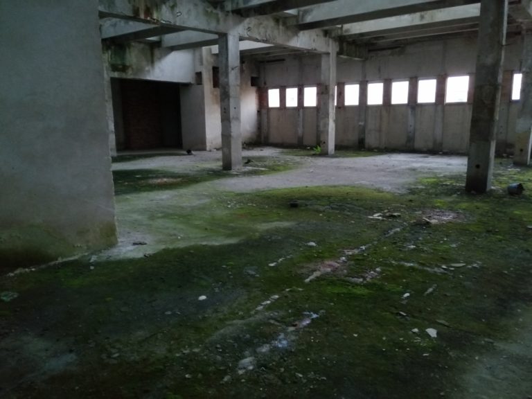 Instytut stomatologii, Łódź, województwo łódzkie - relacja z 05.2019, zdjęcie 5
