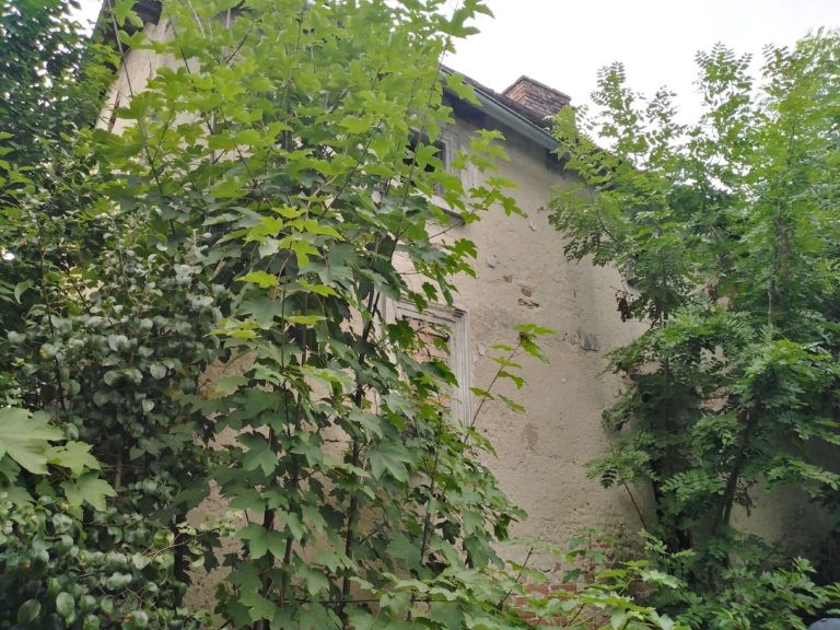 Opuszczony Pałac, Pawłowo Skockie, województwo wielkopolskie - zdjęcie 3