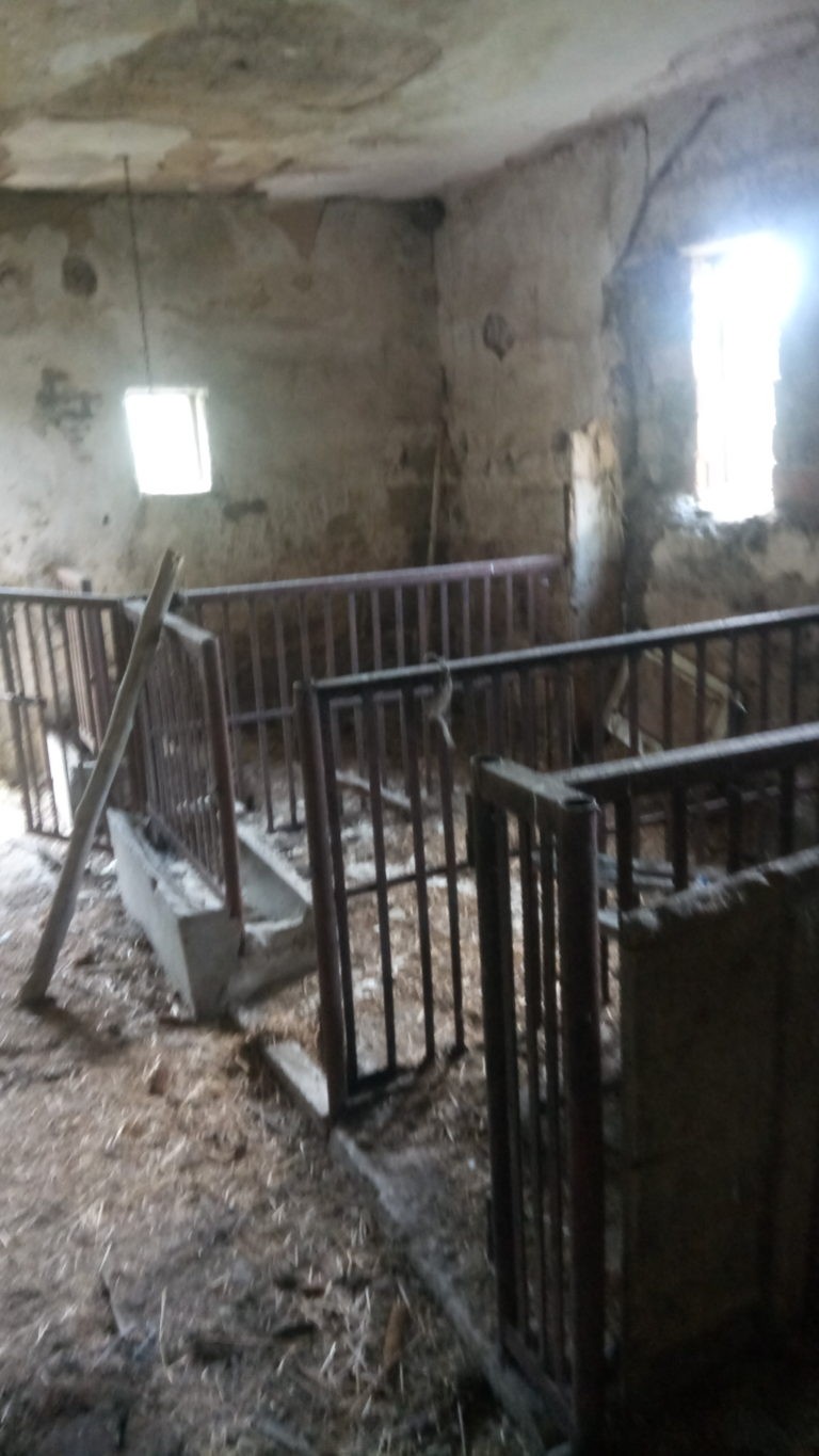 Gospodarstwo, Gorzyce, województwo małopolskie - zdjęcie 5