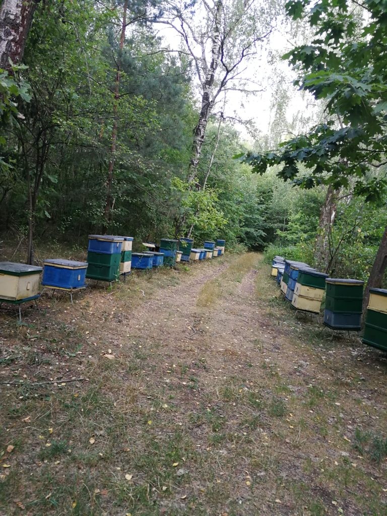 Opuszczona lotnicza jednostka wojskowa, Ułęż, województwo lubelskie - relacja z 07.2019, zdjęcie 6