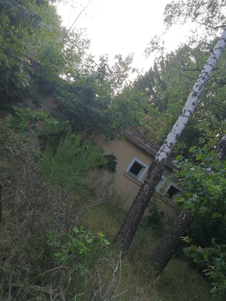 Opuszczona lotnicza jednostka wojskowa, Ułęż, województwo lubelskie - relacja z 07.2019, zdjęcie 3
