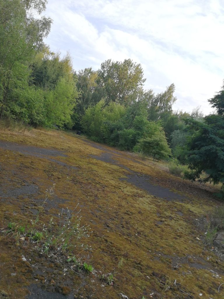 Opuszczona lotnicza jednostka wojskowa, Ułęż, województwo lubelskie - relacja z 07.2019, zdjęcie 1