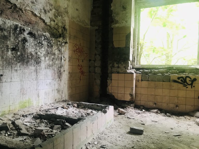 Zakład dla Nerwowo i Psychicznie Chorych Żydów „Zofiówka”, Otwock, województwo mazowieckie - relacja z 06.2019, zdjęcie 12