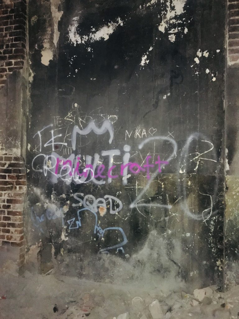 Zakład dla Nerwowo i Psychicznie Chorych Żydów „Zofiówka”, Otwock, województwo mazowieckie - relacja z 06.2019, zdjęcie 13