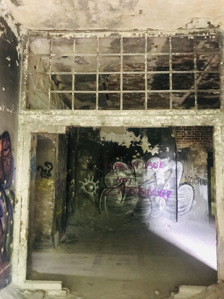 Zakład dla Nerwowo i Psychicznie Chorych Żydów „Zofiówka”, Otwock, województwo mazowieckie - relacja z 06.2019, zdjęcie 11