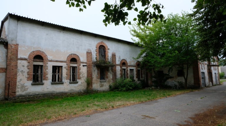 INSTYTUT HODOWLI BYDŁA, Brwinów, województwo mazowieckie - relacja z 07.2019, zdjęcie 15
