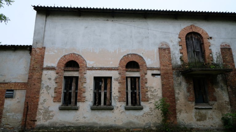 INSTYTUT HODOWLI BYDŁA, Brwinów, województwo mazowieckie - relacja z 07.2019, zdjęcie 14