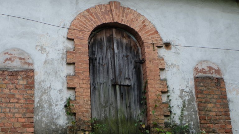 INSTYTUT HODOWLI BYDŁA, Brwinów, województwo mazowieckie - relacja z 07.2019, zdjęcie 13