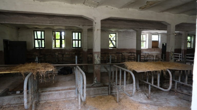 INSTYTUT HODOWLI BYDŁA, Brwinów, województwo mazowieckie - relacja z 07.2019, zdjęcie 12
