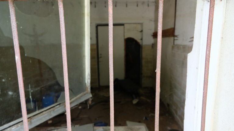 INSTYTUT HODOWLI BYDŁA, Brwinów, województwo mazowieckie - relacja z 07.2019, zdjęcie 6