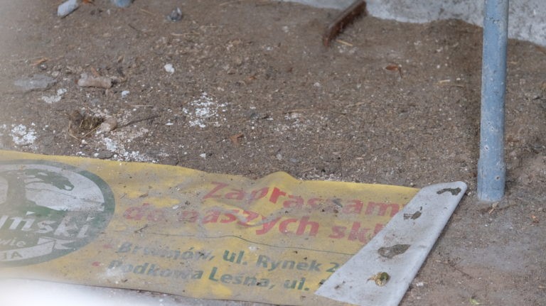 INSTYTUT HODOWLI BYDŁA, Brwinów, województwo mazowieckie - relacja z 07.2019, zdjęcie 4