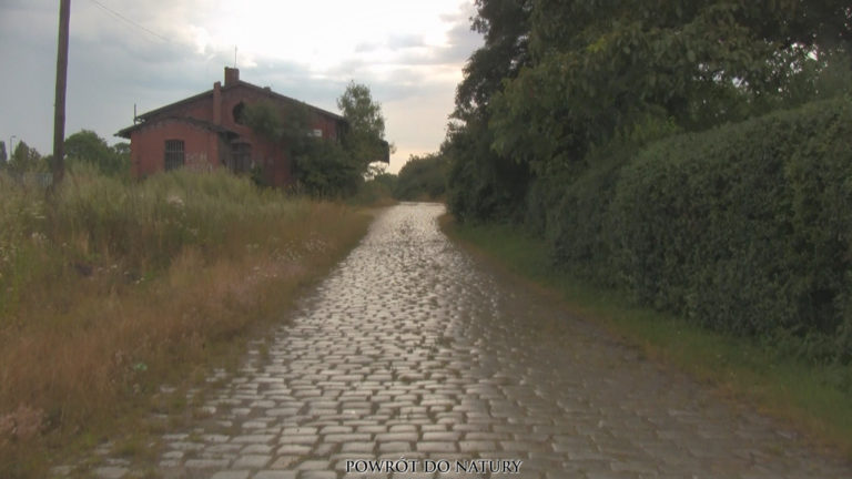 Pkp, Prudnik, województwo opolskie - relacja z 03.2019, zdjęcie 4