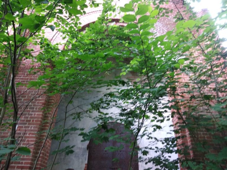 Opuszczony grobowiec/kapilca w Szpęgawsku, Szpęgawsk, województwo pomorskie - relacja z 07.2019, zdjęcie 9