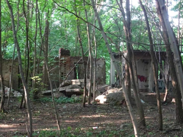 Tor Wyścigów Konnych, Łódź, województwo łódzkie - zdjęcie 5