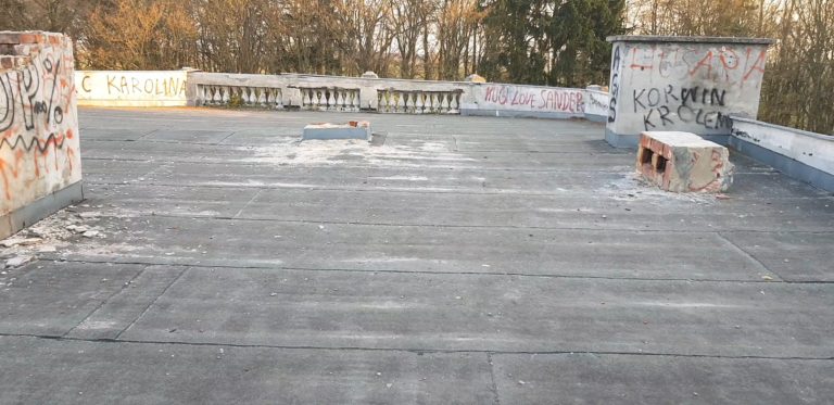 Opuszczony Dworek Nowa Wieś Rzeczna, Nowa Wieś Rzeczna, województwo pomorskie - relacja z 04.2019, zdjęcie 13