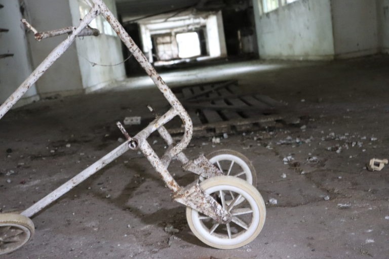 Tuczarnia trzody chlewnej, Mileszewy, województwo kujawsko-pomorskie - relacja z 08.2019, zdjęcie 13