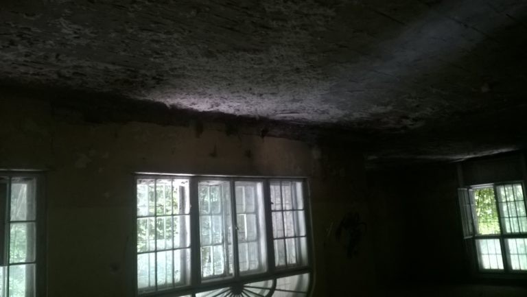 Stary Dworek, Gorlice, województwo małopolskie - relacja z 06.2019, zdjęcie 4