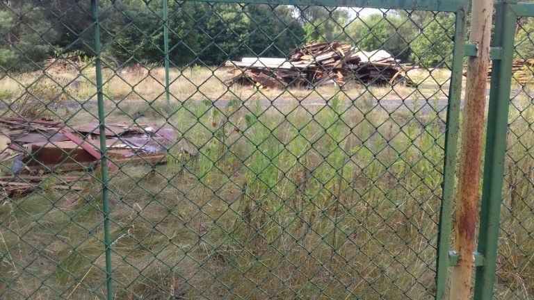 Kemping Słoneczna Polana, Jelenia Góra, województwo dolnośląskie - relacja z 08.2019, zdjęcie 2