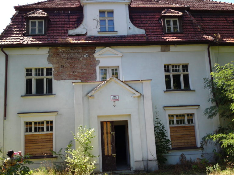 Pałac w przylepkach, Manieczki, województwo wielkopolskie - relacja z 08.2013, zdjęcie 4
